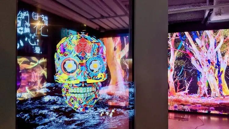 Expert-led online courses